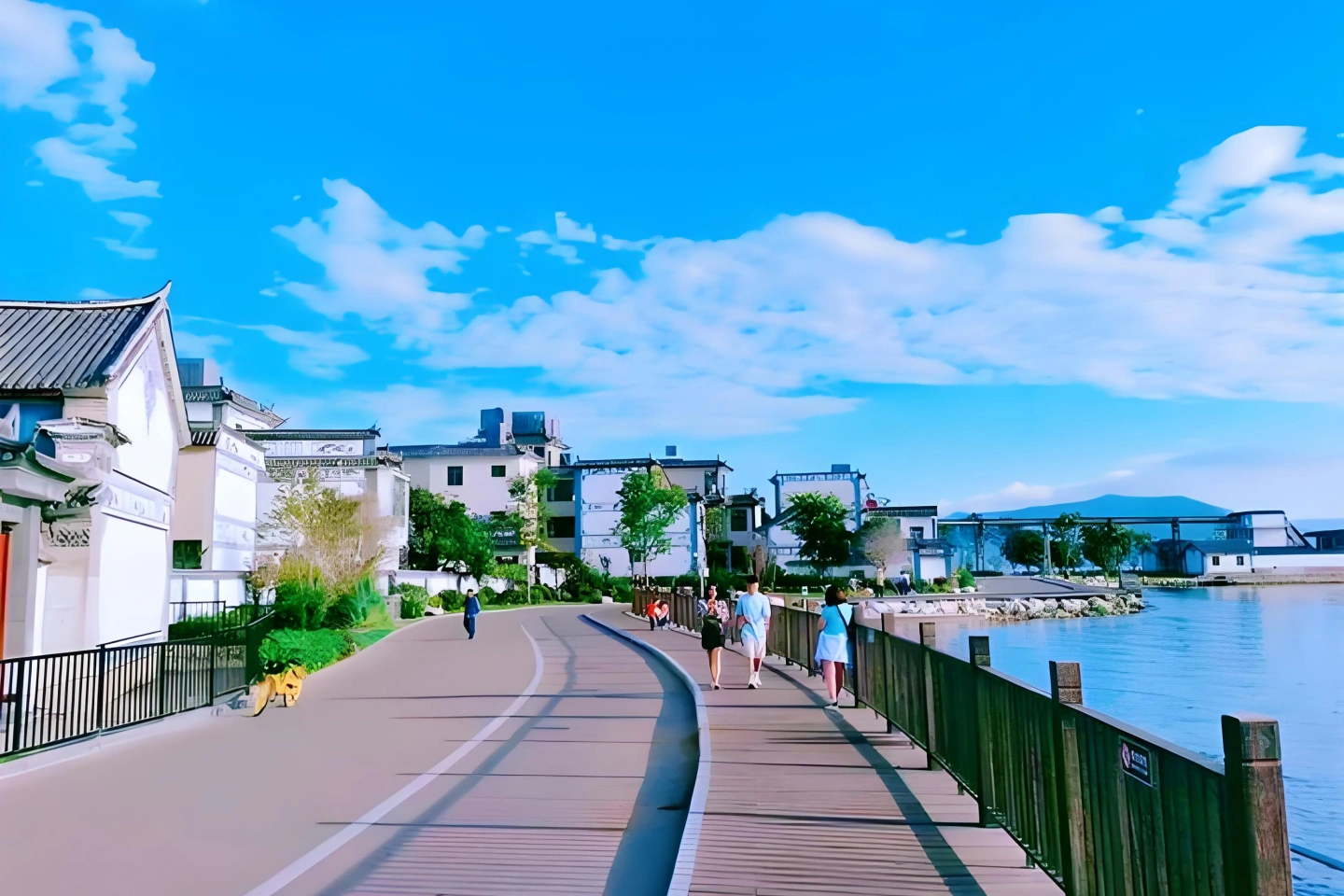 生态廊道